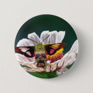 Hummingbird Moth 2 Inch Round Button