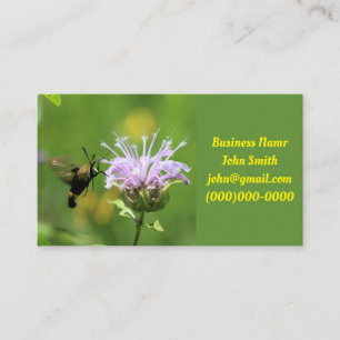 Hummingbird Moth Business Card