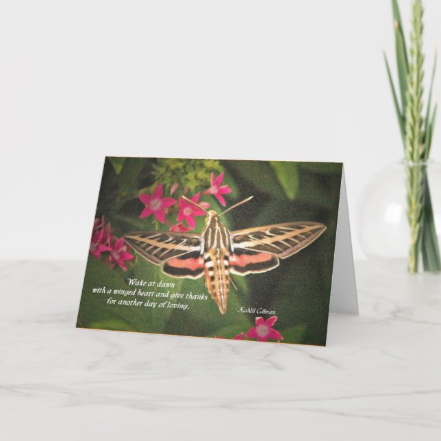 Hummingbird Moth card (Front)