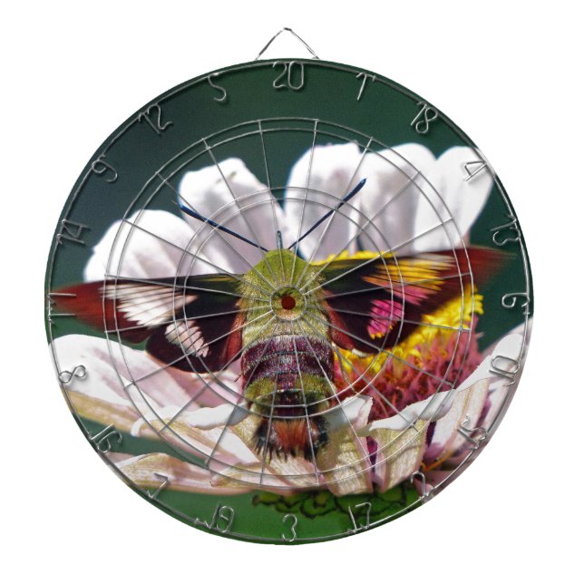 Hummingbird Moth Dartboard (Front)