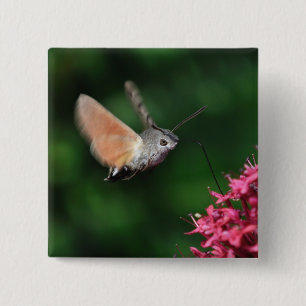 Hummingbird moth hovering 2 inch square button