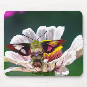 Hummingbird Moth Mouse Pad