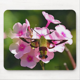 Hummingbird Moth Mouse Pad