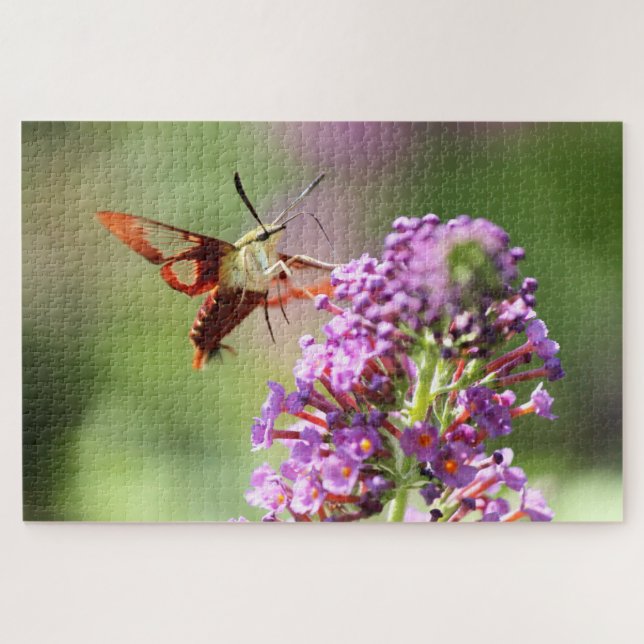 Hummingbird Moth on a Butterfly Bush  Jigsaw Puzzle (Horizontal)