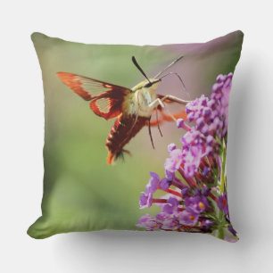 Hummingbird Moth on a Butterfly Bush Throw Pillow