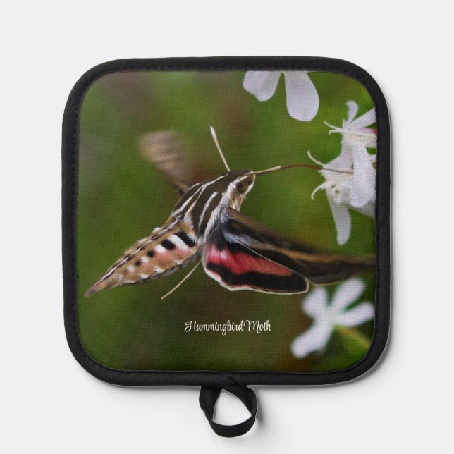 Hummingbird Moth Pot Holder (Front)