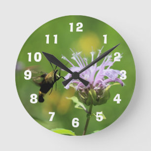 Hummingbird Moth Round Clock