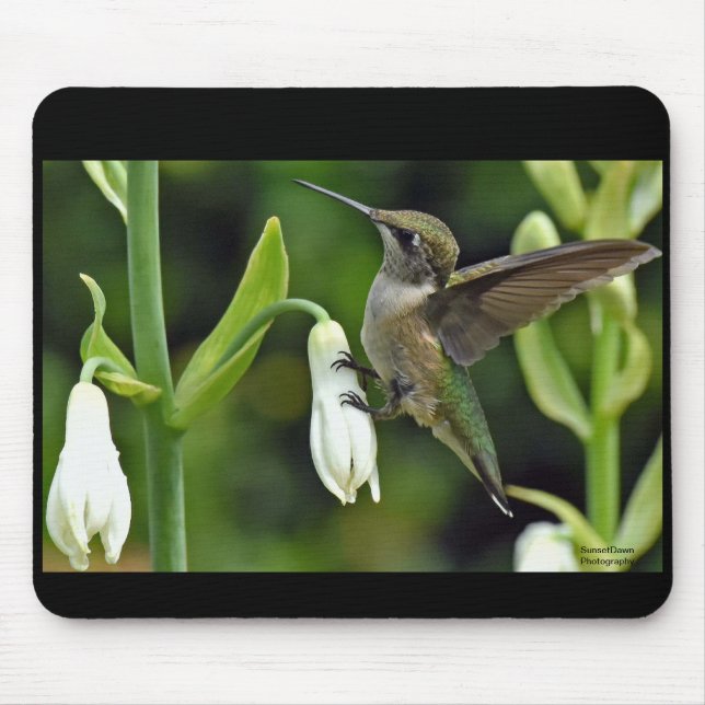 Hummingbird Mouse Pad (Front)