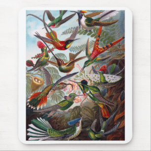 Hummingbird Mouse Pad