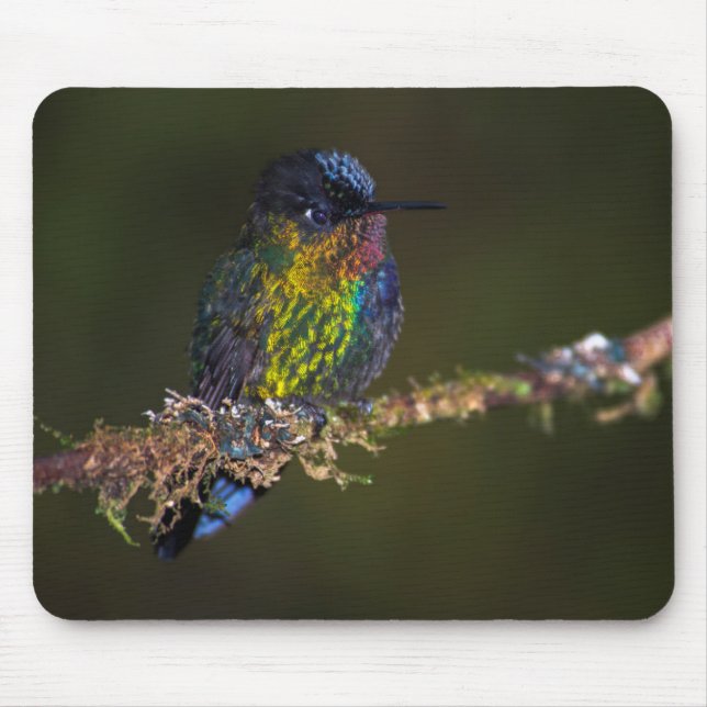 Hummingbird Mouse Pad (Front)