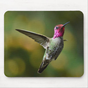 Hummingbird  mouse pad