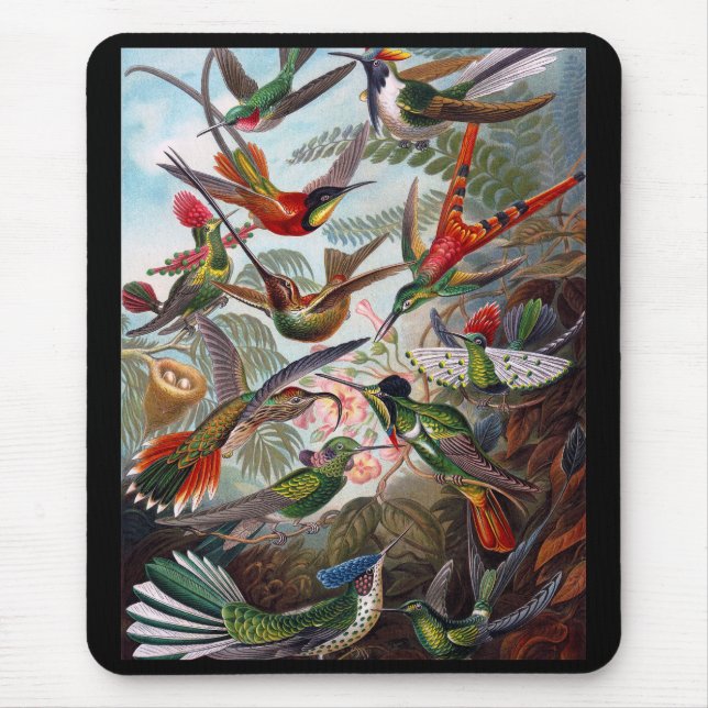 Hummingbird Mouse Pad (Front)