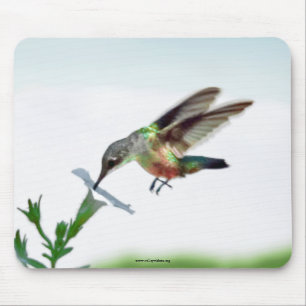 Hummingbird Mouse Pad