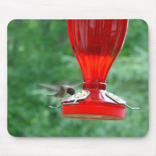 Hummingbird Mousepad (Front)