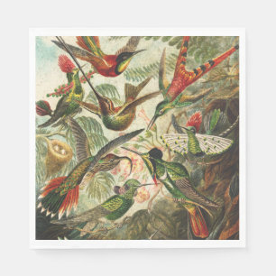 Hummingbird Napkins or Decoupage