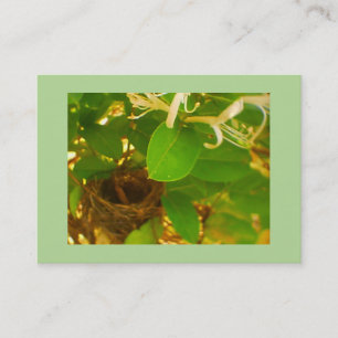Hummingbird Nest Business Card