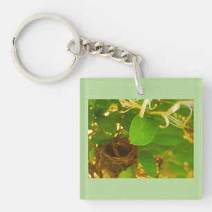 Hummingbird Nest Honeysuckle Keychain