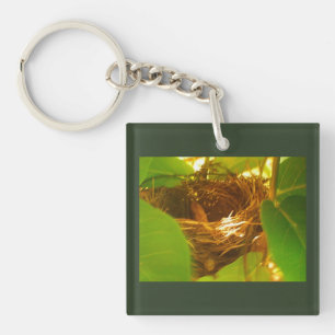 Hummingbird Nest Keychain