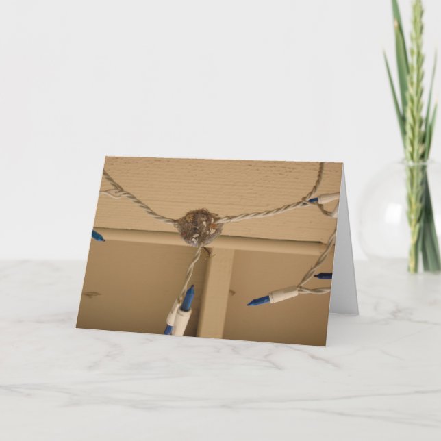 Hummingbird Nest with Flower Card (Front)