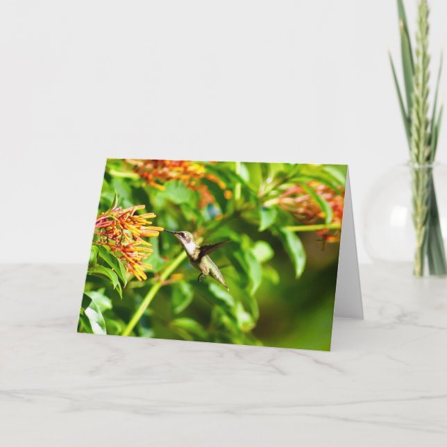 Hummingbird Note Card <Blank Inside> (Front)