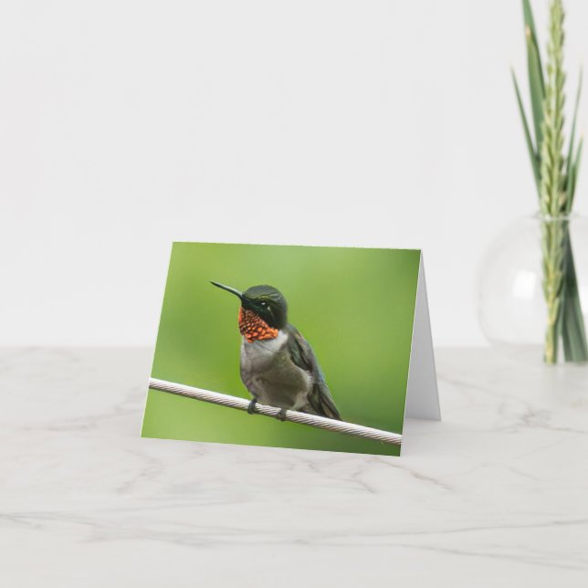Hummingbird Notecard (Front)