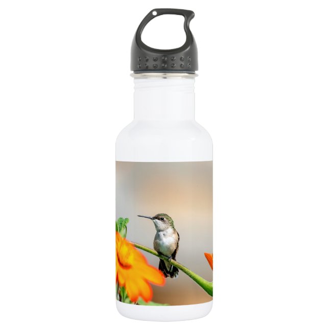 Hummingbird on a flowering plant 532 ml water bottle (Front)