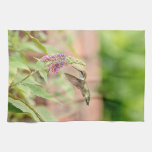 Hummingbird on a flowering plant kitchen towel