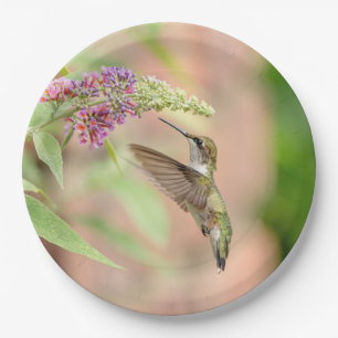 Hummingbird on a flowering plant paper plate