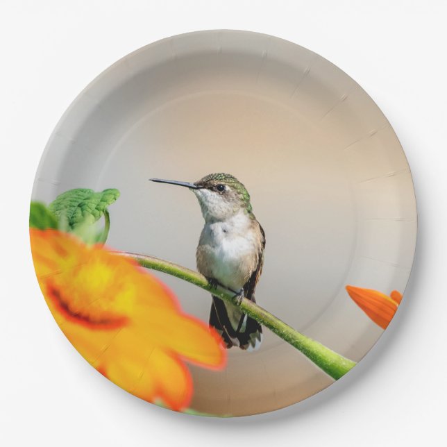 Hummingbird on a flowering plant paper plate (Front)