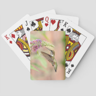 Hummingbird on a flowering plant playing cards