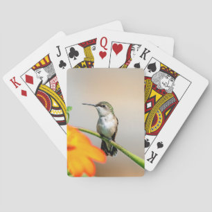 Hummingbird on a flowering plant playing cards