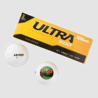 Hummingbird on a golf ball