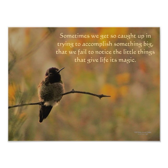 Hummingbird On Branch Warm Yellow Green Colours Photo Print (Front)