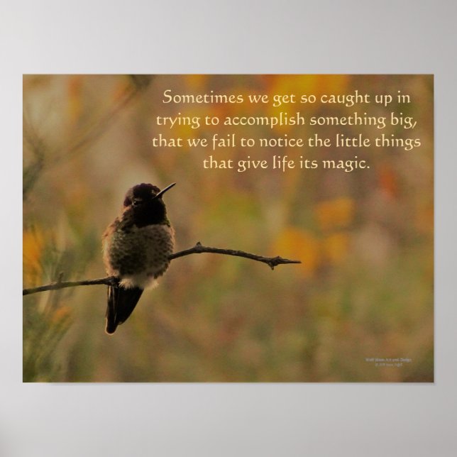 Hummingbird On Branch Warm Yellow Green Colours Poster (Front)