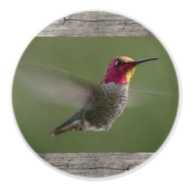 Hummingbird on Ceramic Knobs and Pulls (Front)