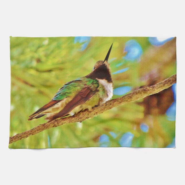 Hummingbird on evergreen kitchen towel (Horizontal)