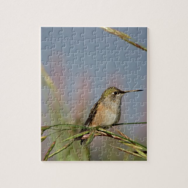 hummingbird on grass jigsaw puzzle (Vertical)