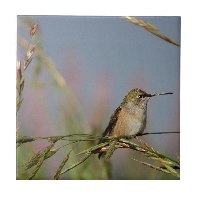 hummingbird on grass tile (Front)