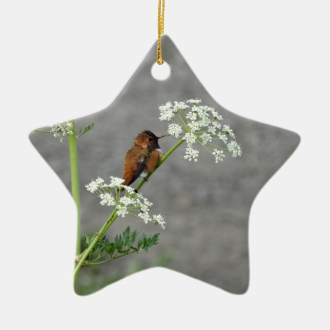Hummingbird on Queen Ann's lace flower Ceramic Ornament (Front)