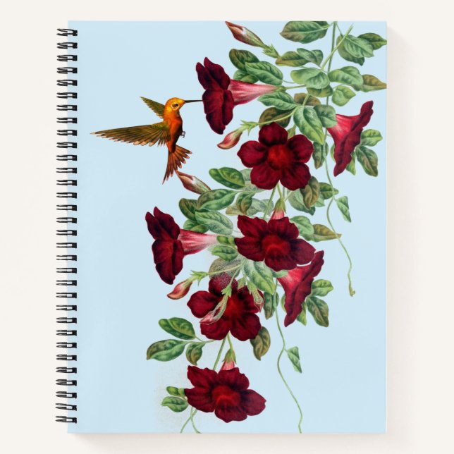 Hummingbird on Red Mandevillea Flowers Notebook (Front)