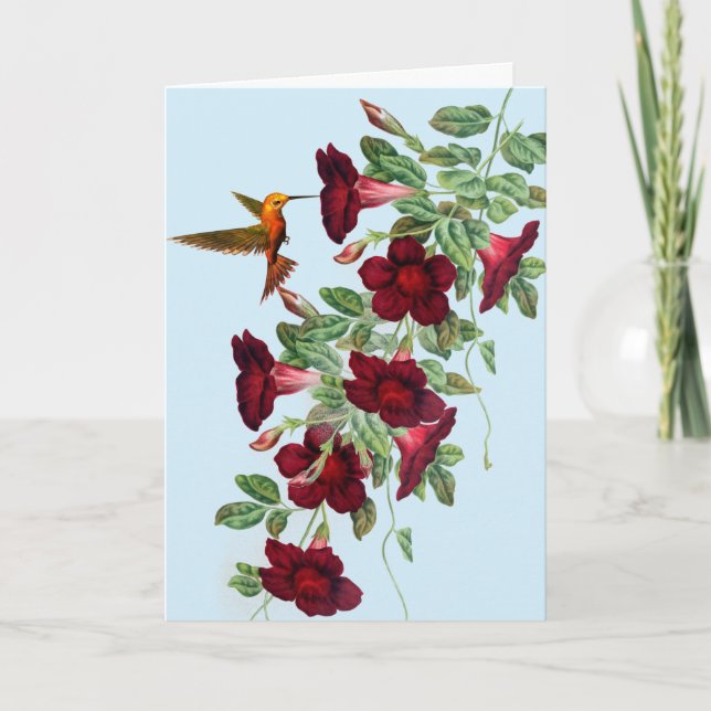 Hummingbird on Red Mandevillea Mother's Day Holiday Card (Front)