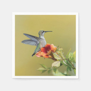 Hummingbird on Trumpet Flower Photographic Print Napkin