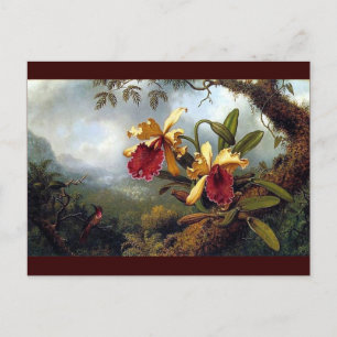 Hummingbird Orchids painting Postcard