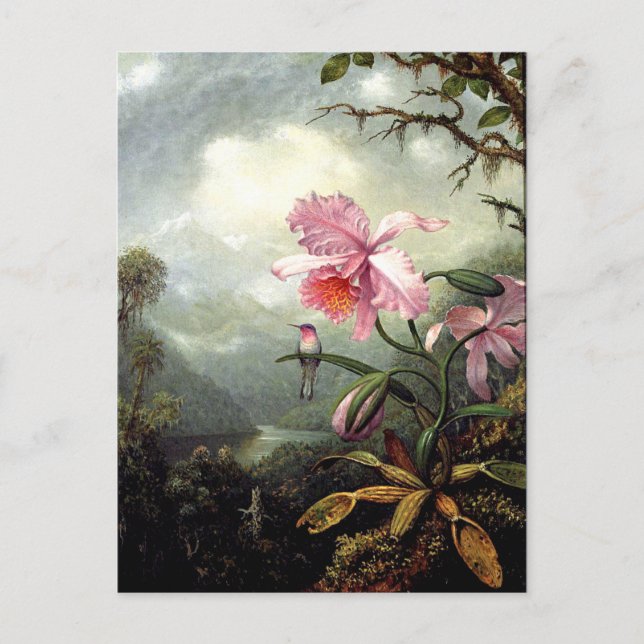 Hummingbird Perched, fine art, Postcard (Front)