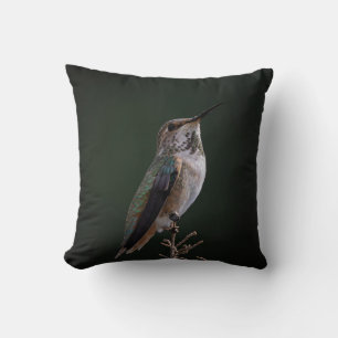 Hummingbird Perched on Branch - Bird Photography Throw Pillow