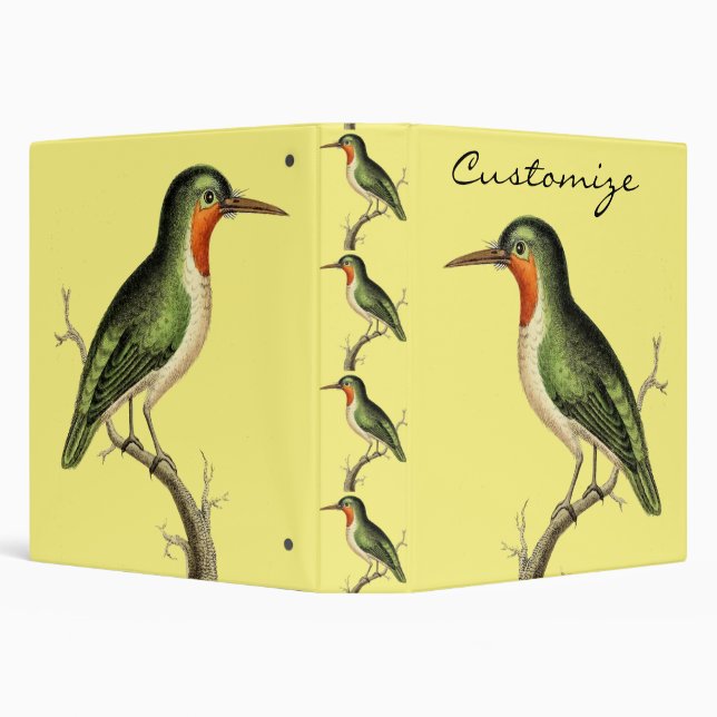 Hummingbird Perched Thunder_Cove Binder (Background)