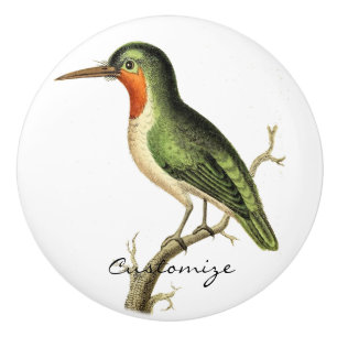 Hummingbird Perched Thunder_Cove Ceramic Knob