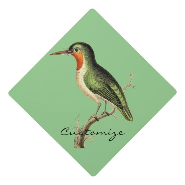 Hummingbird Perched Thunder_Cove Graduation Cap Topper (Front)