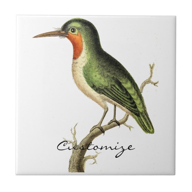 Hummingbird Perched Thunder_Cove Tile (Front)