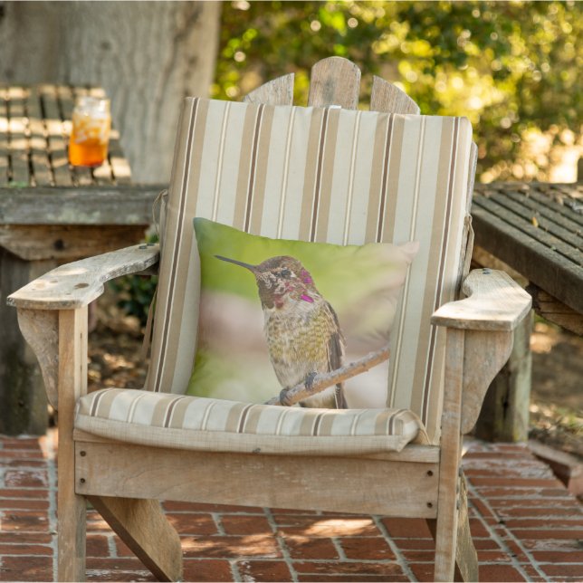 Hummingbird Photo Outdoor Throw Pillow (Chair)